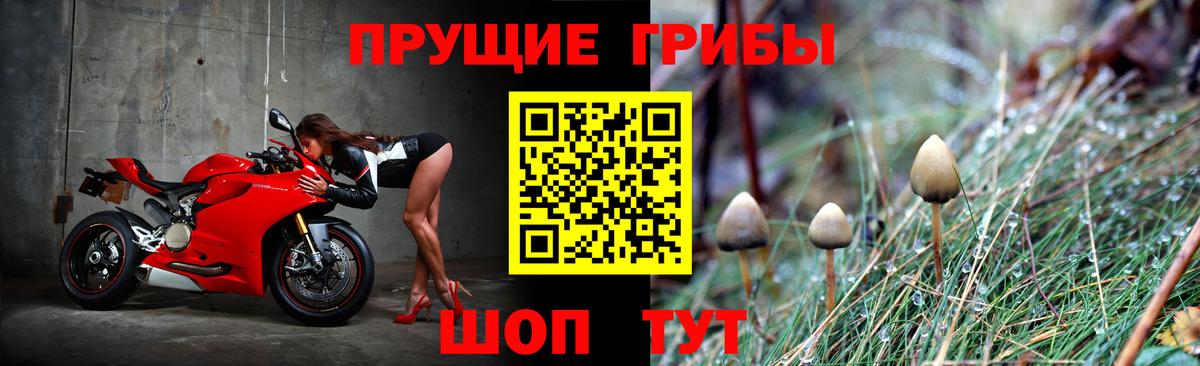 Псилоцибиновые грибы GOLDEN TEACHER  Вход с VPN  Галлюциногенные грибы GOLDEN TEACHER  Комсомольск-на-Амуре 